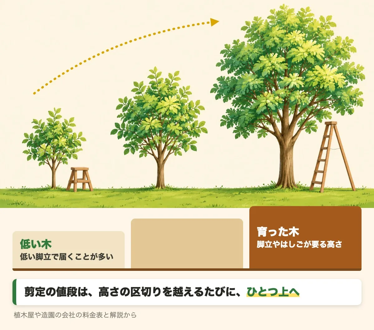 同じ木が年ごとに育っていく様子を左から右に3本並べた絵。低い木は低い脚立で届くことが多く、育った木は脚立やはしごが要る高さになる。剪定の値段は、高さの区切りを越えるたびにひとつ上へ上がる