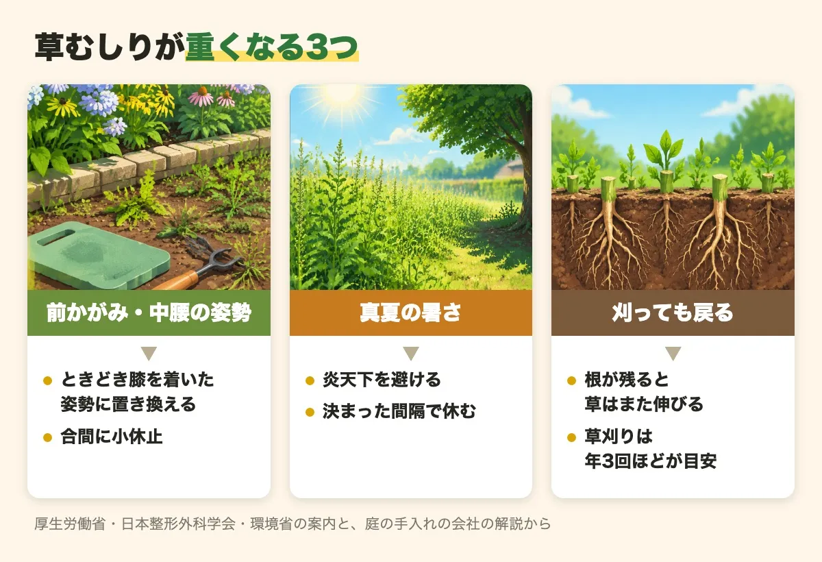 草むしりが重くなる3つを札で並べた図。前かがみや中腰の姿勢には、ときどき膝を着いた姿勢に置き換えることと合間の小休止、真夏の暑さには、炎天下を避けて決まった間隔で休むこと。刈っても根が残ると草はまた伸び、草刈りは年3回ほどが目安。厚生労働省・日本整形外科学会・環境省の案内と、庭の手入れの会社の解説から