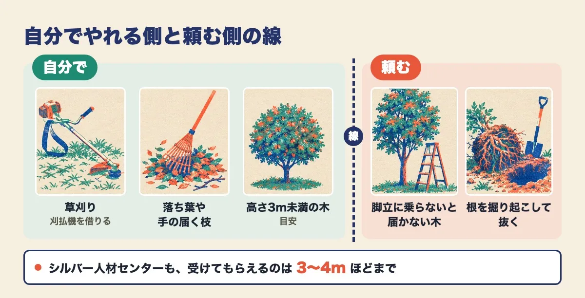 自分でやれる側と頼む側を点線で分けた図。自分では、刈払機を借りての草刈り、落ち葉や手の届く枝、目安として高さ3m未満の木。頼むのは、脚立に乗らないと届かない木と、根を掘り起こして抜く作業。シルバー人材センターも、受けてもらえるのは3〜4mほどまで