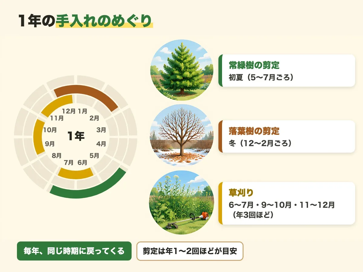 12か月の輪に、常緑樹の剪定は初夏の5〜7月ごろ、落葉樹の剪定は冬の12〜2月ごろ、草刈りは6〜7月・9〜10月・11〜12月の年3回ほど、と手入れの時期を示した図