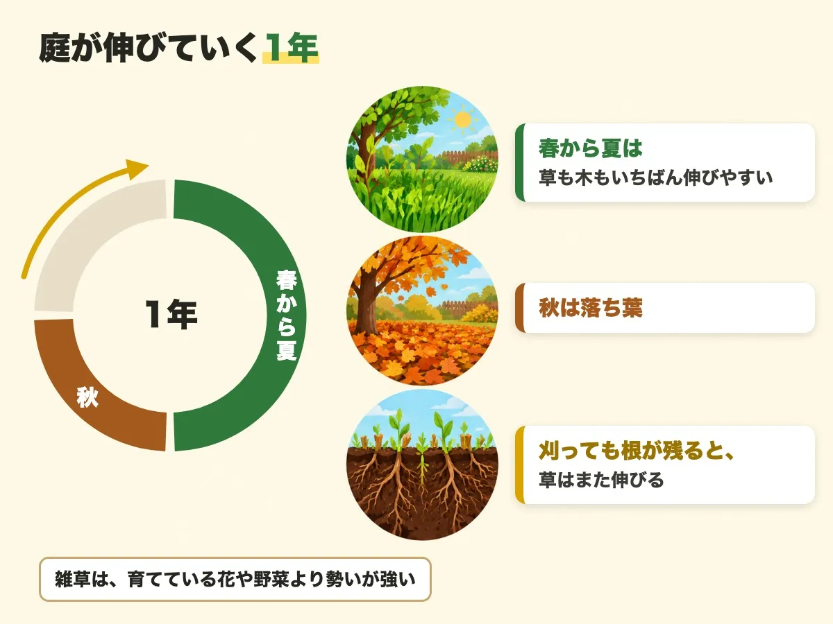 庭が伸びていく1年を季節の輪で示した図。春から夏は草も木もいちばん伸びやすく、秋は落ち葉が出て、刈っても根が残ると草はまた伸びる。雑草は育てている花や野菜より勢いが強い