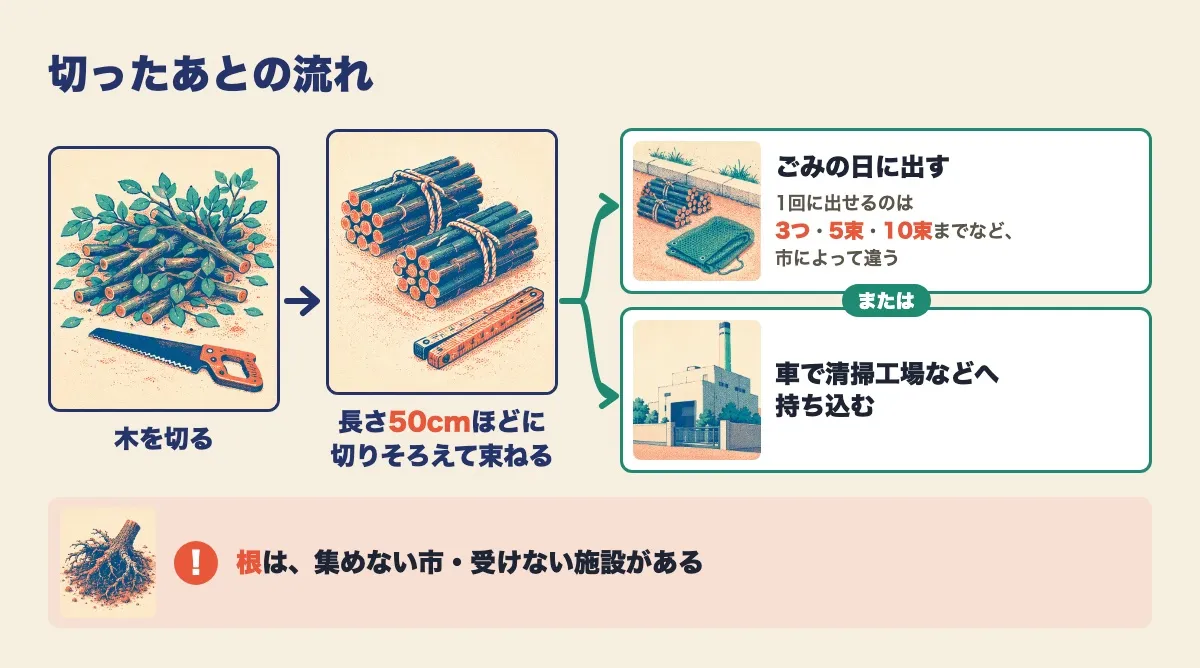 切ったあとの流れの図。木を切り、長さ50cmほどに切りそろえて束ね、ごみの日に出す（1回に出せるのは3つ・5束・10束までなど、市によって違う）か、車で清掃工場などへ持ち込む。根は、集めない市や受けない施設がある