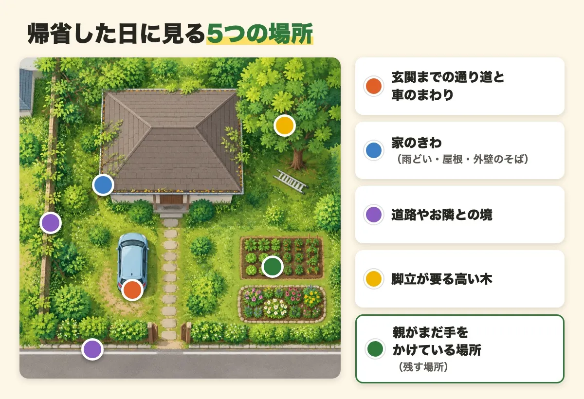 上から見た家と庭の絵に、帰省した日に見る5つの場所（玄関までの通り道と車のまわり、家のきわ、道路やお隣との境、脚立が要る高い木、親がまだ手をかけている残す場所）を色の印で示した図
