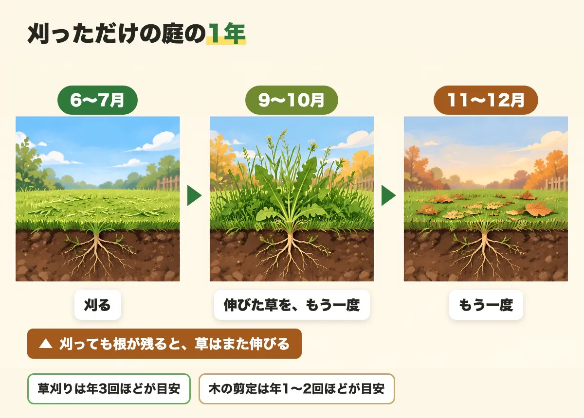 草を刈っただけの庭の1年を、6〜7月・9〜10月・11〜12月の3回の草刈りで示し、土の中に根が残るとまた伸びることを描いた図