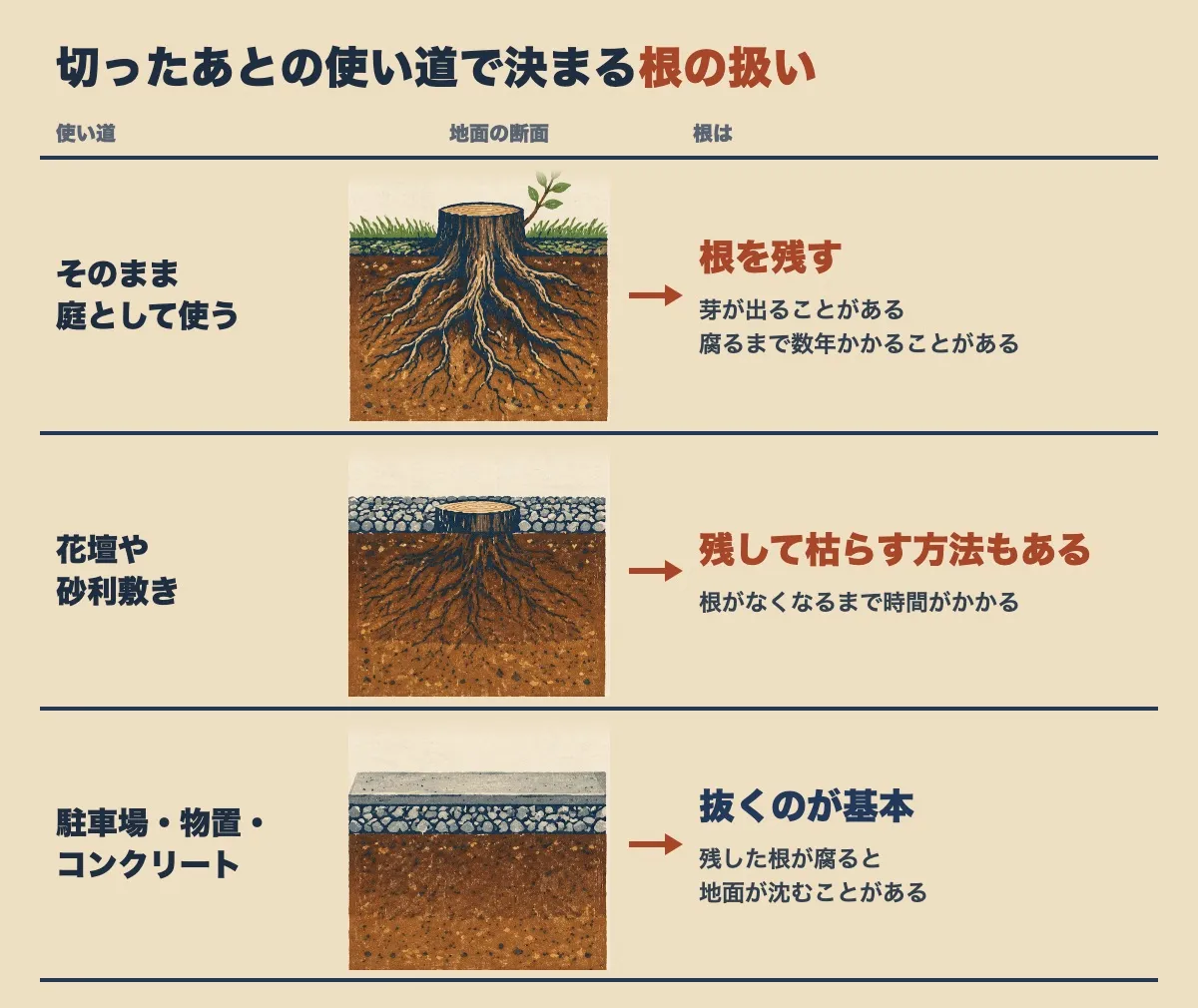 切ったあとの使い道で決まる根の扱いを、地面の断面の絵3つで並べた表。そのまま庭として使うなら根を残す（芽が出ることがあり、腐るまで数年かかることがある）。花壇や砂利敷きなら残して枯らす方法もある（根がなくなるまで時間がかかる）。駐車場・物置・コンクリートなら抜くのが基本（残した根が腐ると地面が沈むことがある）