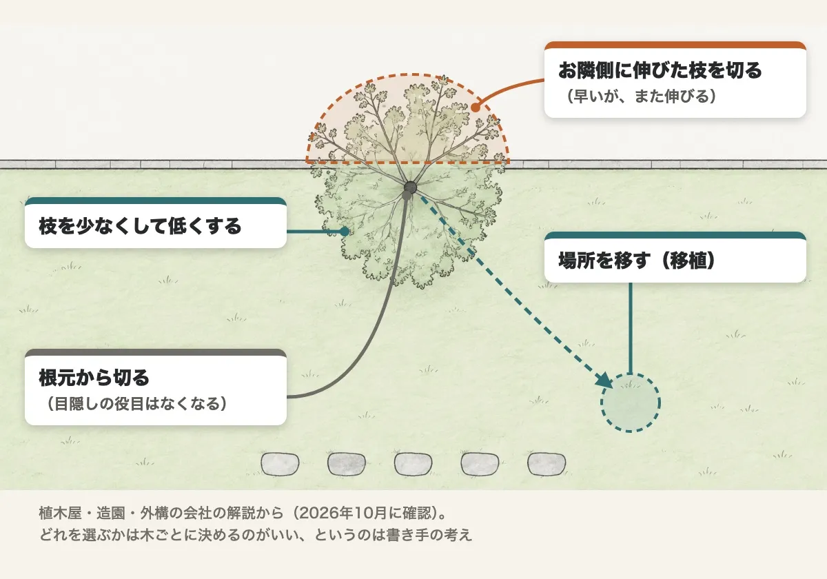 真上から見た境界と、お隣側に枝を伸ばした木の線画に、お隣側に伸びた枝を切る（早いが、また伸びる）、枝を少なくして低くする、場所を移す（移植）、根元から切る（目隠しの役目はなくなる）の4つの札を置いた図で、どれを選ぶかは木ごとに決めるのがいい、というのは書き手の考え。
