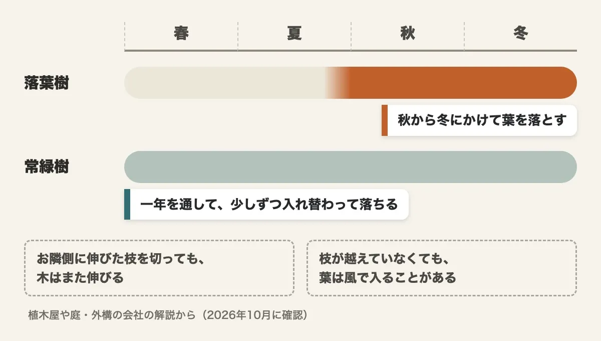 春・夏・秋・冬の目盛りの上に、秋から冬にかけて葉を落とす落葉樹と、一年を通して少しずつ入れ替わって落ちる常緑樹の帯を並べた図。お隣側に伸びた枝を切っても木はまた伸びる、枝が越えていなくても葉は風で入ることがある、の札つき（植木屋や庭・外構の会社の解説から）。